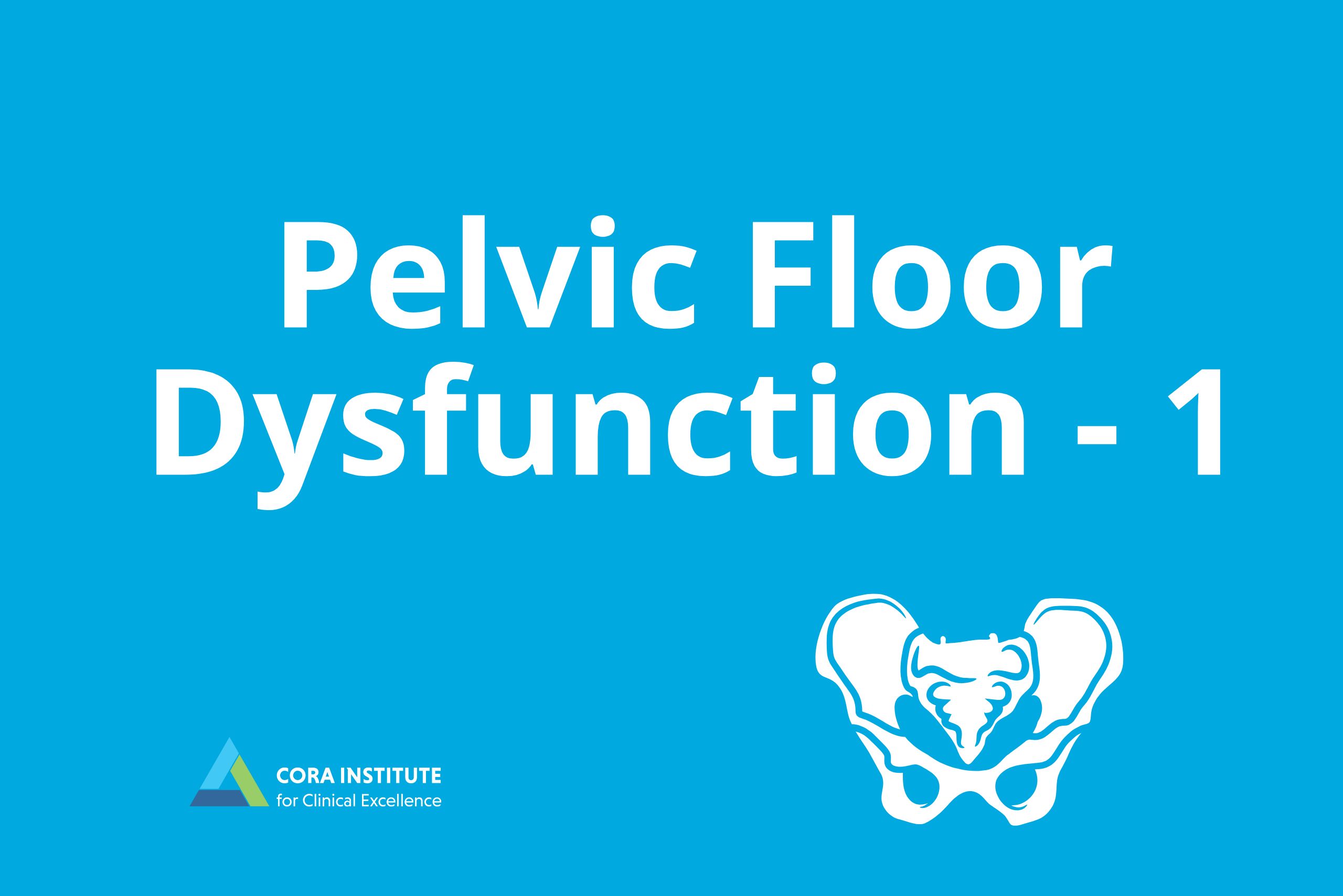 Evaluation and Management of the Pelvic Floor level 1. March 14, 2026. Nocatee, FL.