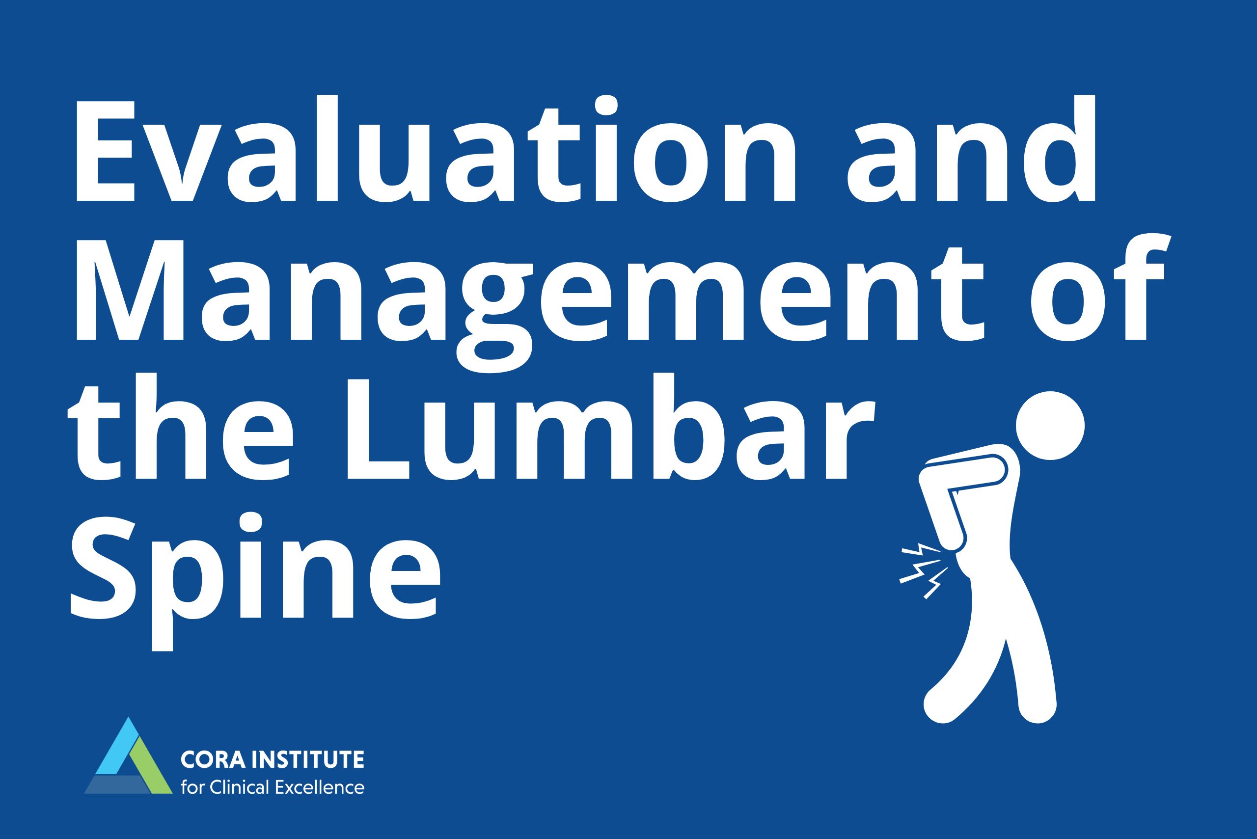 Comprehensive Evaluation and Management of the Lumbar Spine. June 6-7, 2026. Dania Beach, FL.